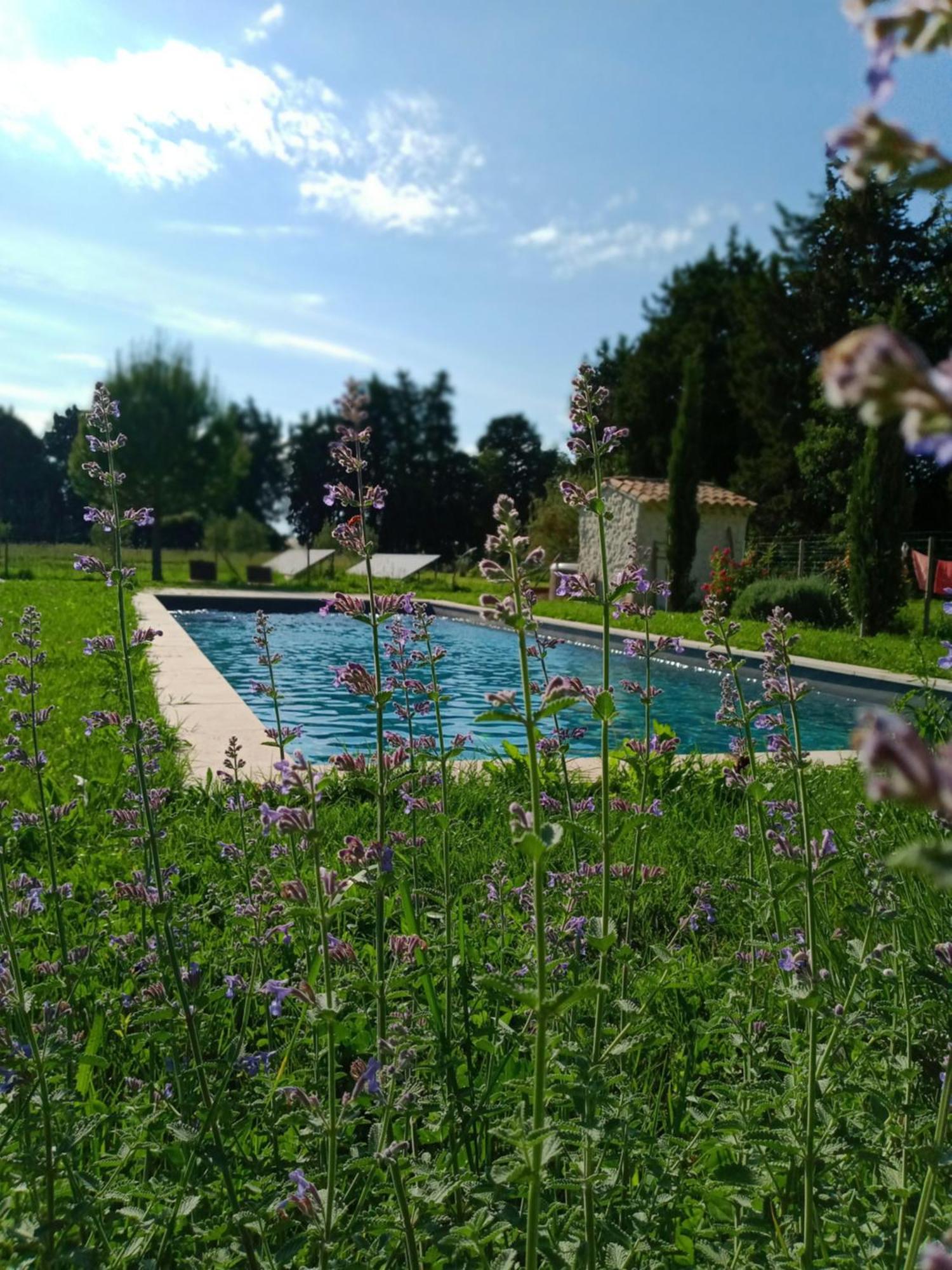 Mas De Karlotte Daire Pernes-les-Fontaines Dış mekan fotoğraf