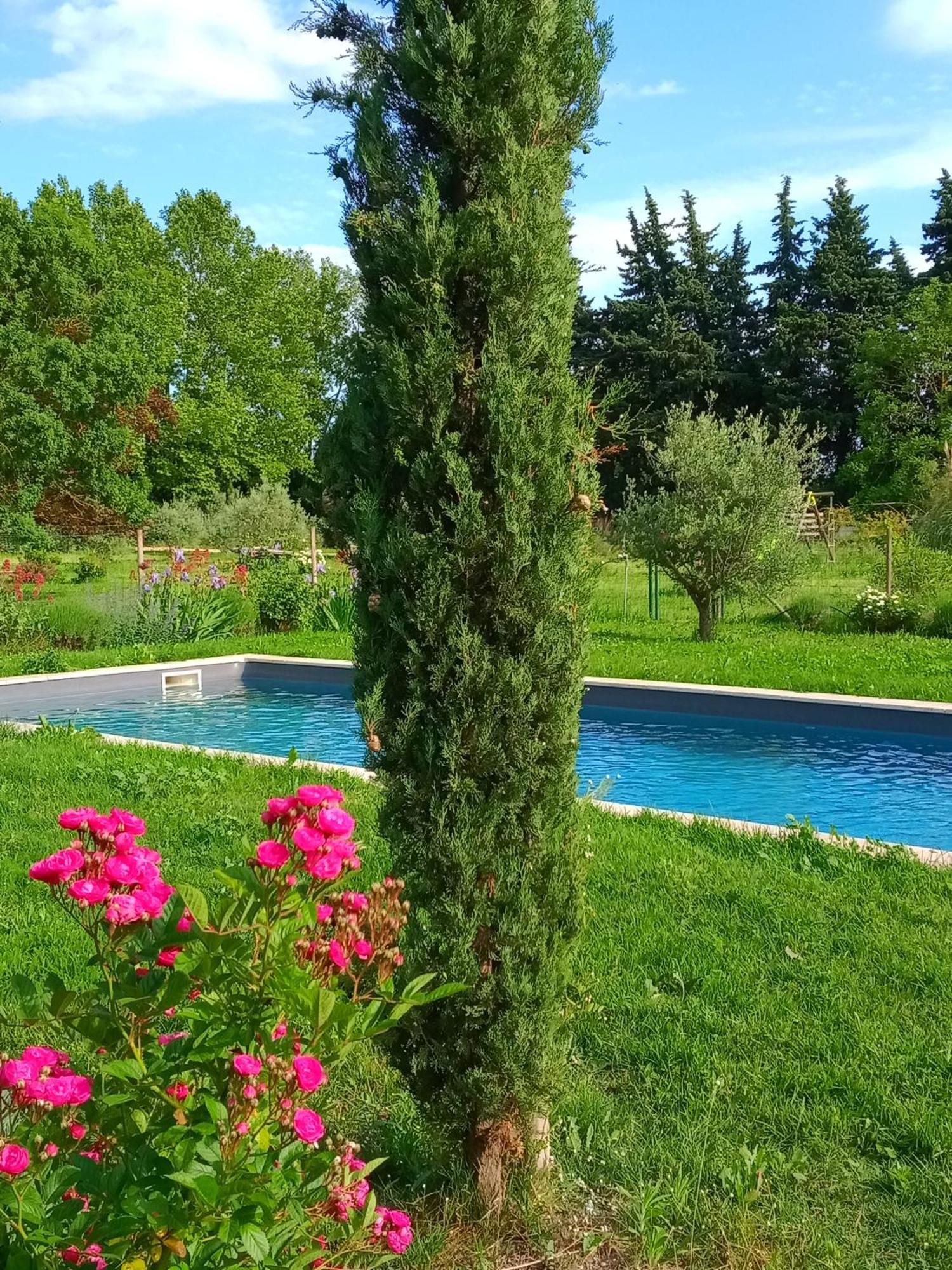 Mas De Karlotte Daire Pernes-les-Fontaines Dış mekan fotoğraf