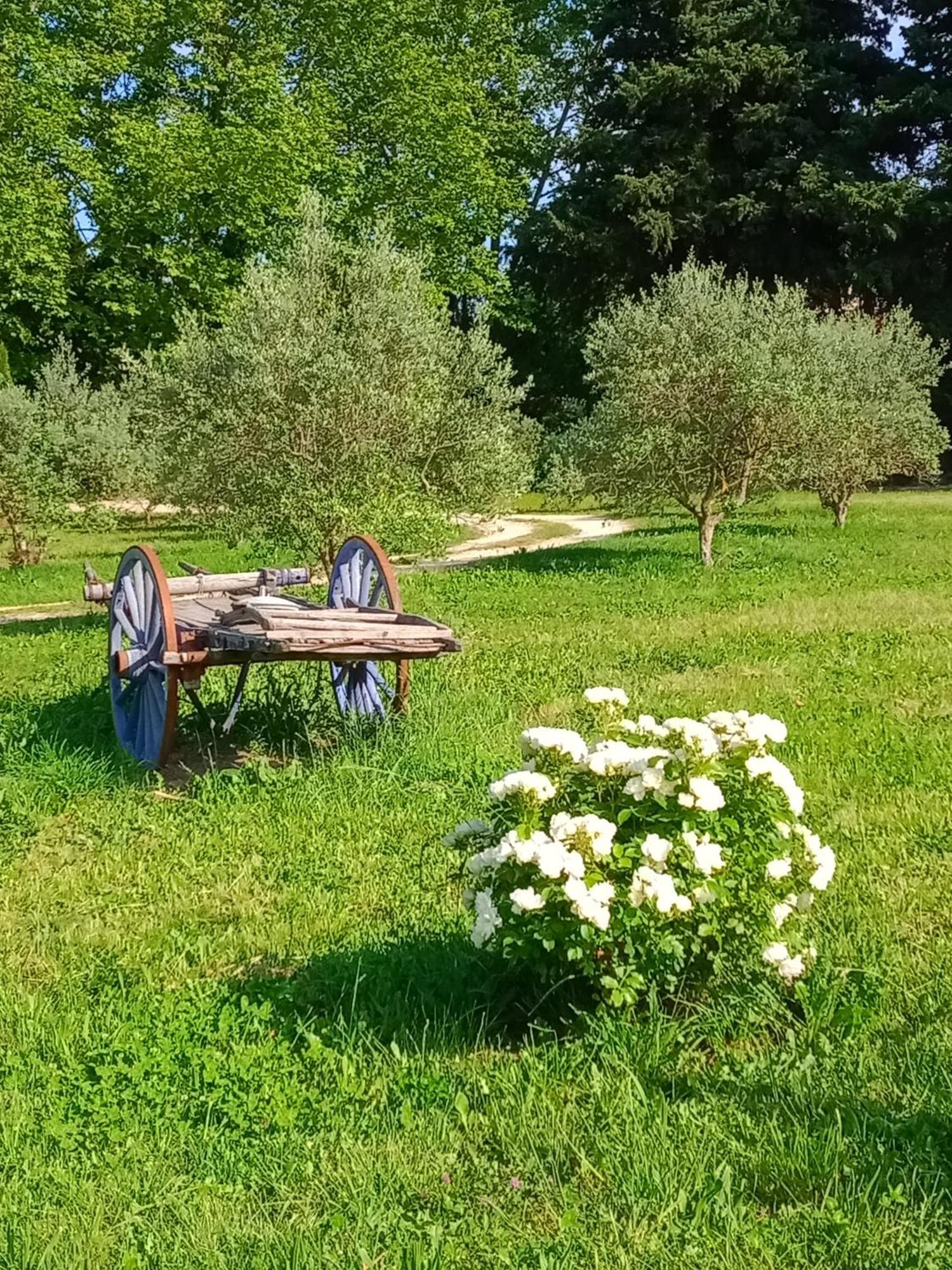 Mas De Karlotte Daire Pernes-les-Fontaines Dış mekan fotoğraf
